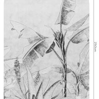 Rainforest Sketch – Tapeta Łuk Standard