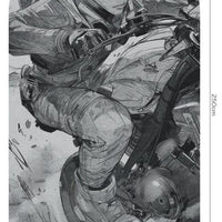 Raida – Tapeta Łuk Standard