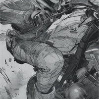 Raida – Tapeta Łuk Standard