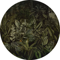 Madagascar – Tapeta Koło Standard