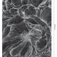 Brassica Dark – Tapeta Łuk Standard