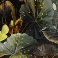 Clara – Tapeta Łuk Standard