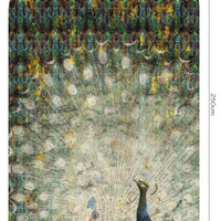 Peacock – Tapeta Łuk Standard