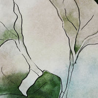 Hasu – Tapeta Łuk Standard