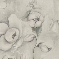 Kotone Olive – Tapeta Łuk Standard