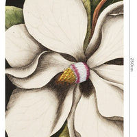 Laurel – Tapeta Łuk Standard