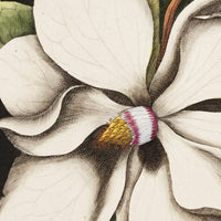 Laurel – Tapeta Łuk Standard