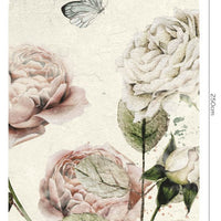 Roses Dream White – Tapeta Łuk Standard