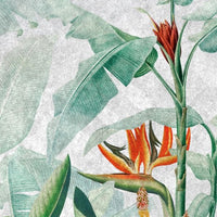 Rainforest Vivid – Tapeta Łuk Standard