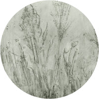 Pampa Sage – Tapeta Koło Standard