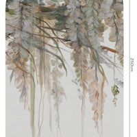 Acacia – Tapeta Łuk Standard