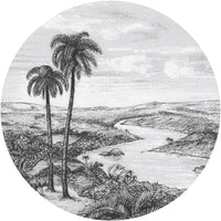 Palm – Tapeta Koło Standard