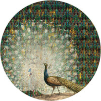 Peacock – Tapeta Koło Standard