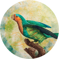 Sierra – Tapeta Koło Standard