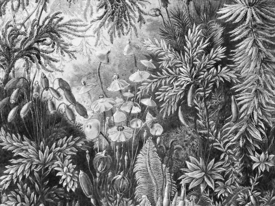 downscaled_pattern_file