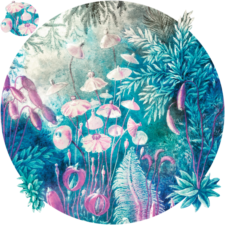 downscaled_pattern_file