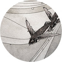 Umi – Tapeta Koło Standard