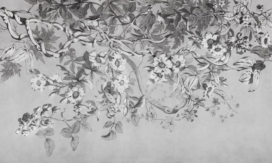 Alamanda – Tapeta na wymiar