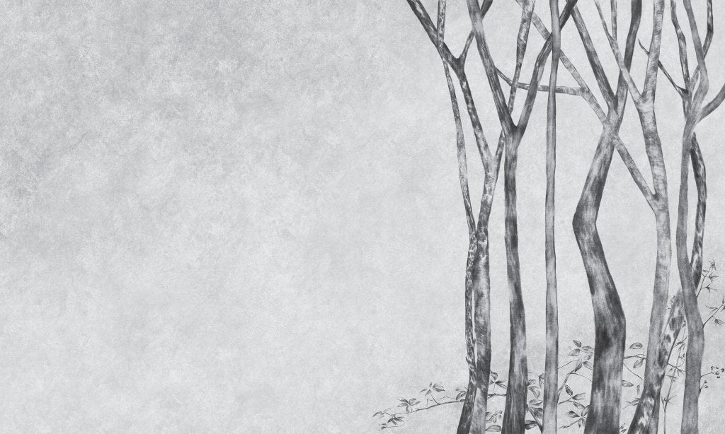 Betulla – Tapeta na wymiar