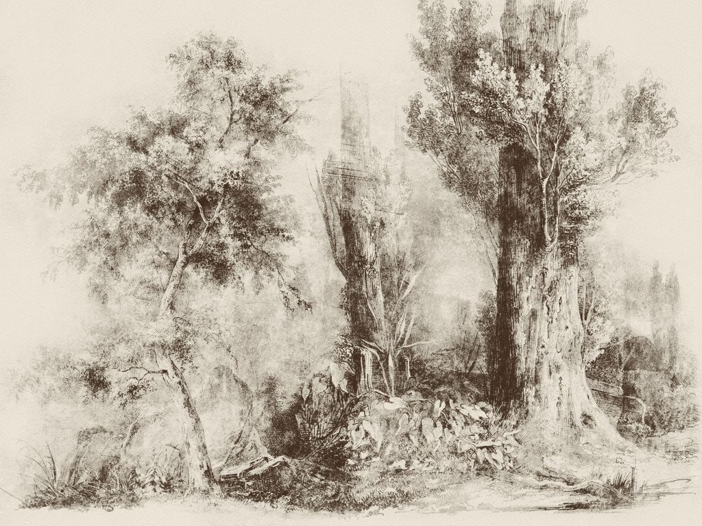 Calm Beige – Tapeta na wymiar