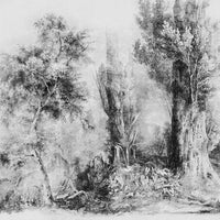 Calm Black and White – Tapeta na wymiar