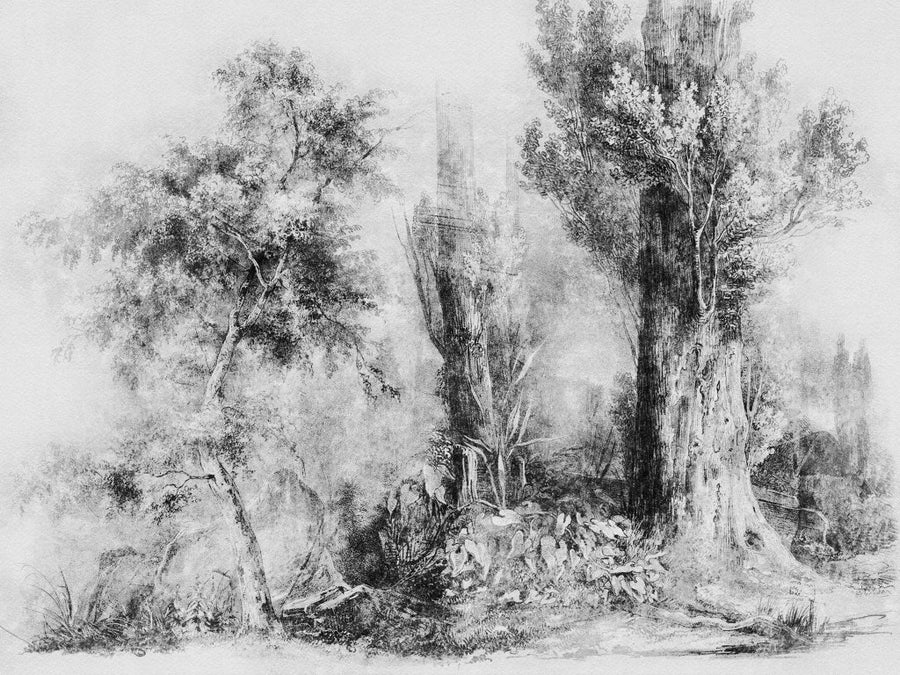 Calm Black and White – Tapeta na wymiar