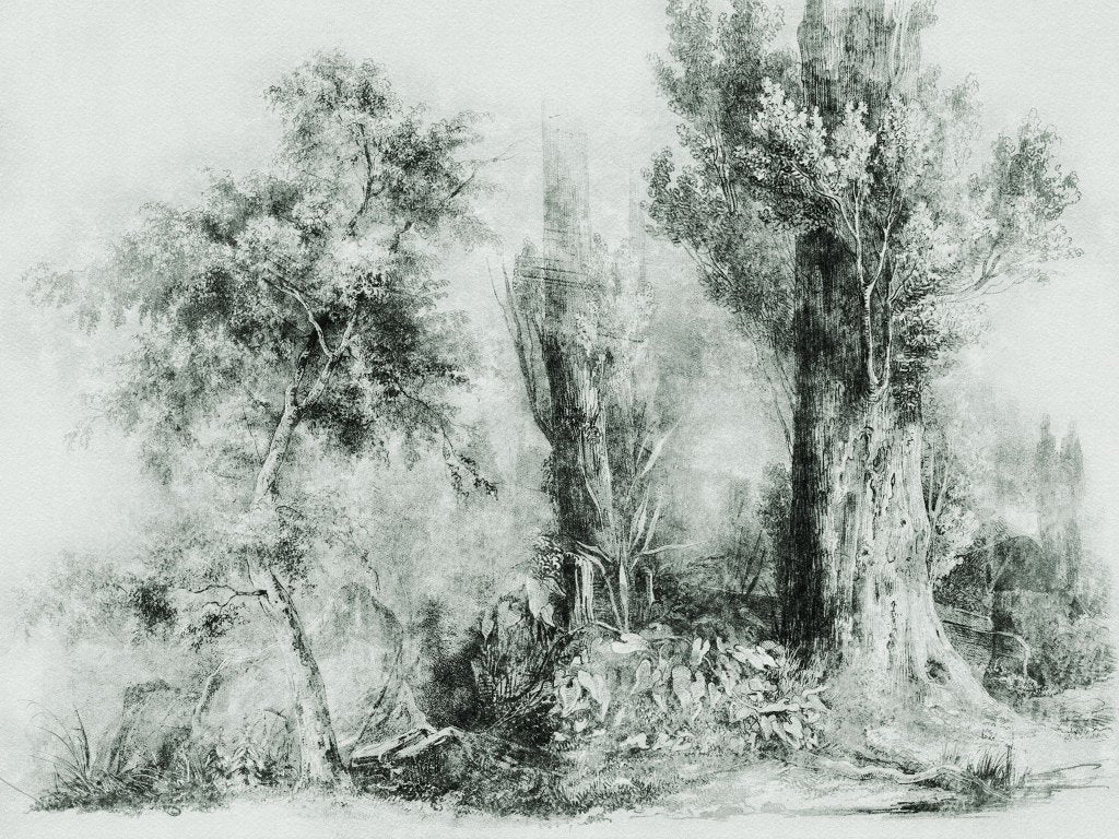 Calm Green – Tapeta na wymiar