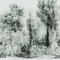 Calm Green – Tapeta na wymiar