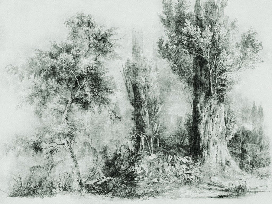 Calm Green – Tapeta na wymiar