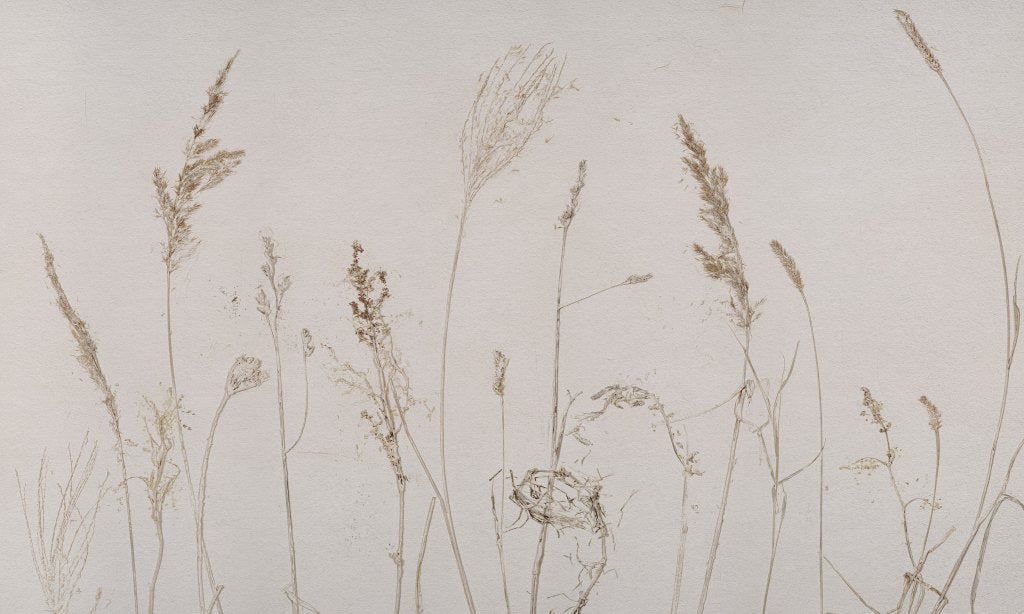 Campo di Avena – Tapeta na wymiar