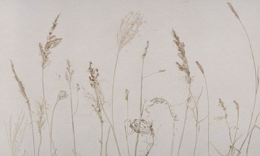 Campo di Avena – Tapeta na wymiar