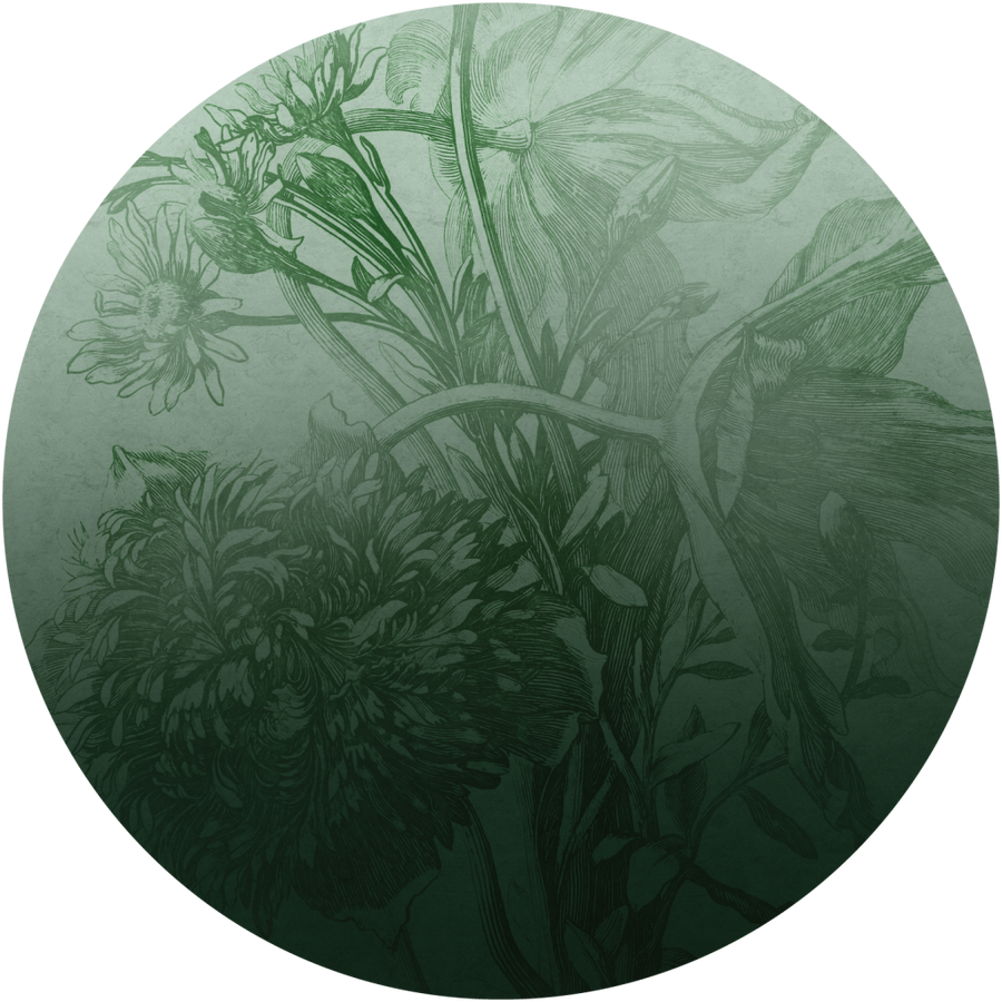 downscaled_pattern_file