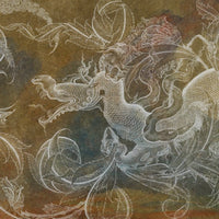 Draco – Tapeta na wymiar