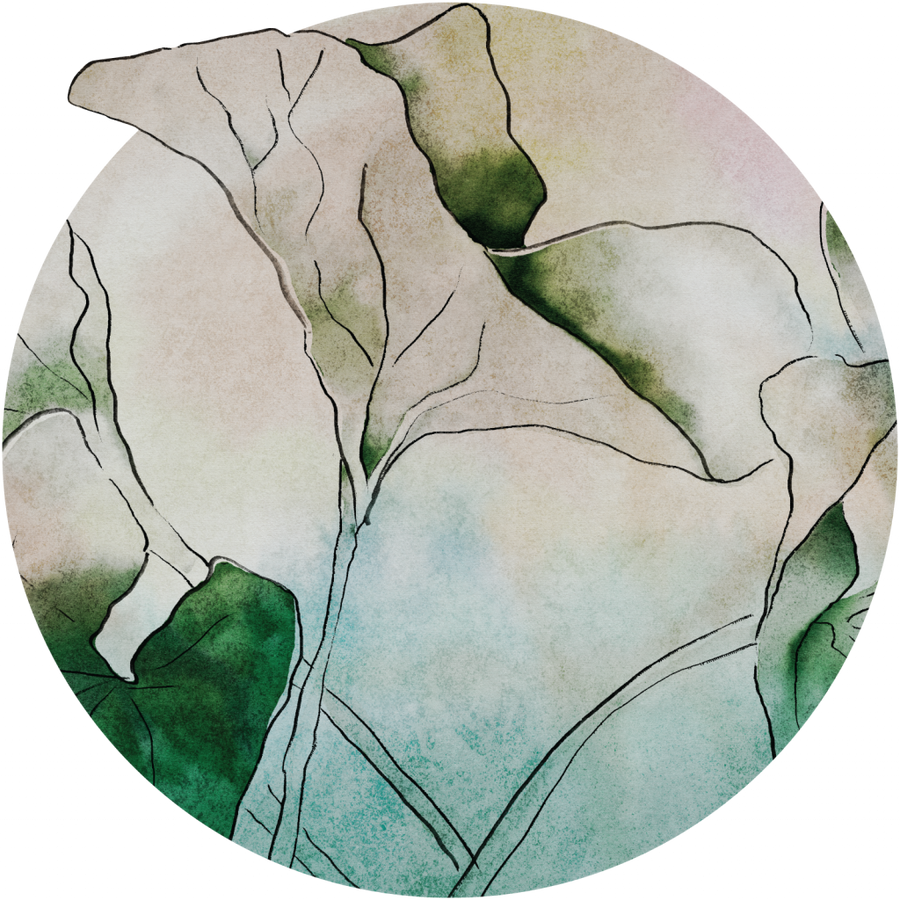 downscaled_pattern_file