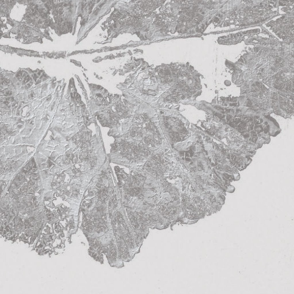 Foglia Dust – Tapeta na wymiar