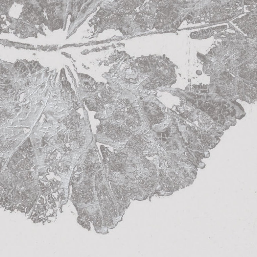 Foglia Dust – Tapeta na wymiar