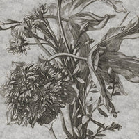 Grey Flower – Tapeta na wymiar