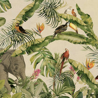 Jungle – Tapeta na wymiar