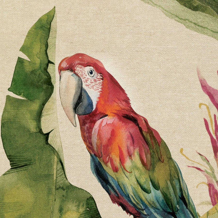 Jungle – Tapeta na wymiar