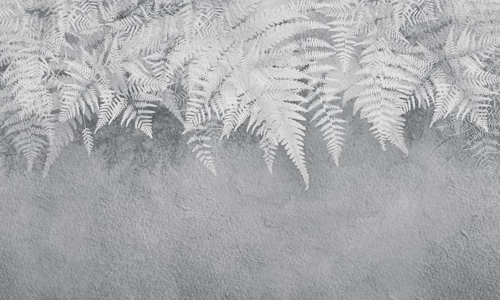 Lacerta – Tapeta na wymiar