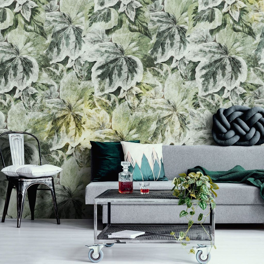 Lierre – Tapeta na wymiar