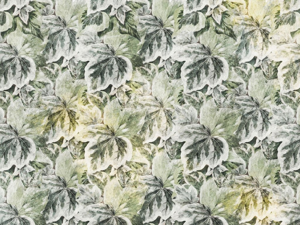 Lierre – Tapeta na wymiar