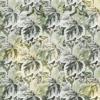 Lierre – Tapeta na wymiar