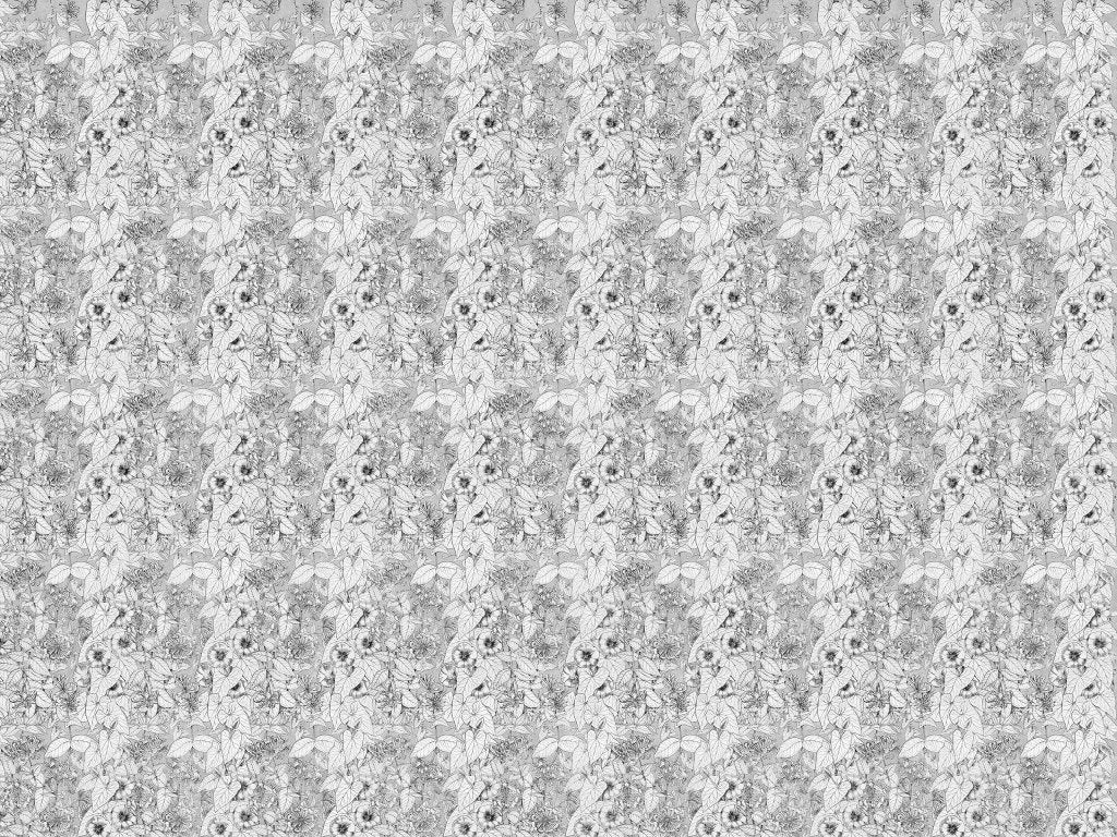 Liseron – Tapeta na wymiar