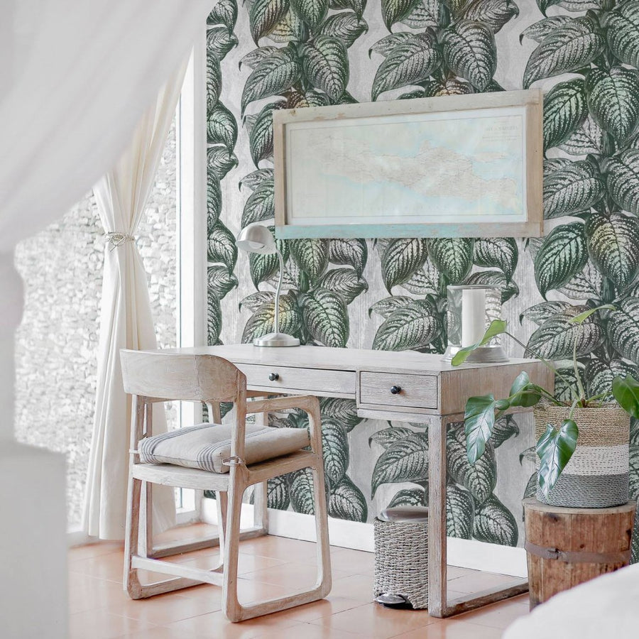 Magnifica Light – Tapeta na wymiar