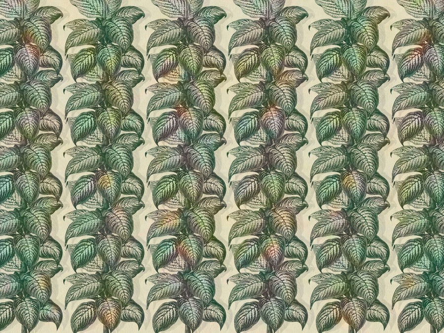 Magnifica Saturated – Tapeta na wymiar