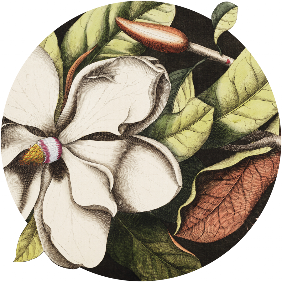 downscaled_pattern_file