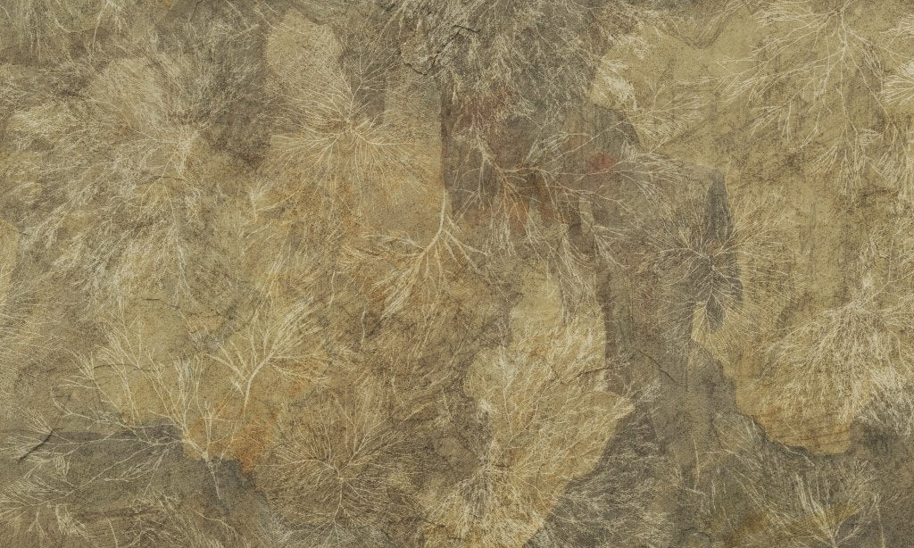 Orion – Tapeta na wymiar