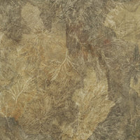 Orion – Tapeta na wymiar