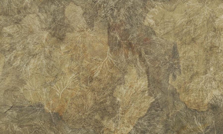 Orion – Tapeta na wymiar